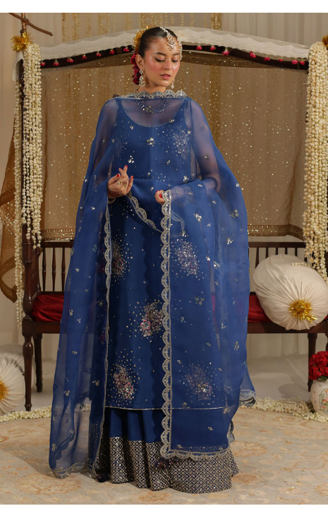 Cobalt Blue Outfit